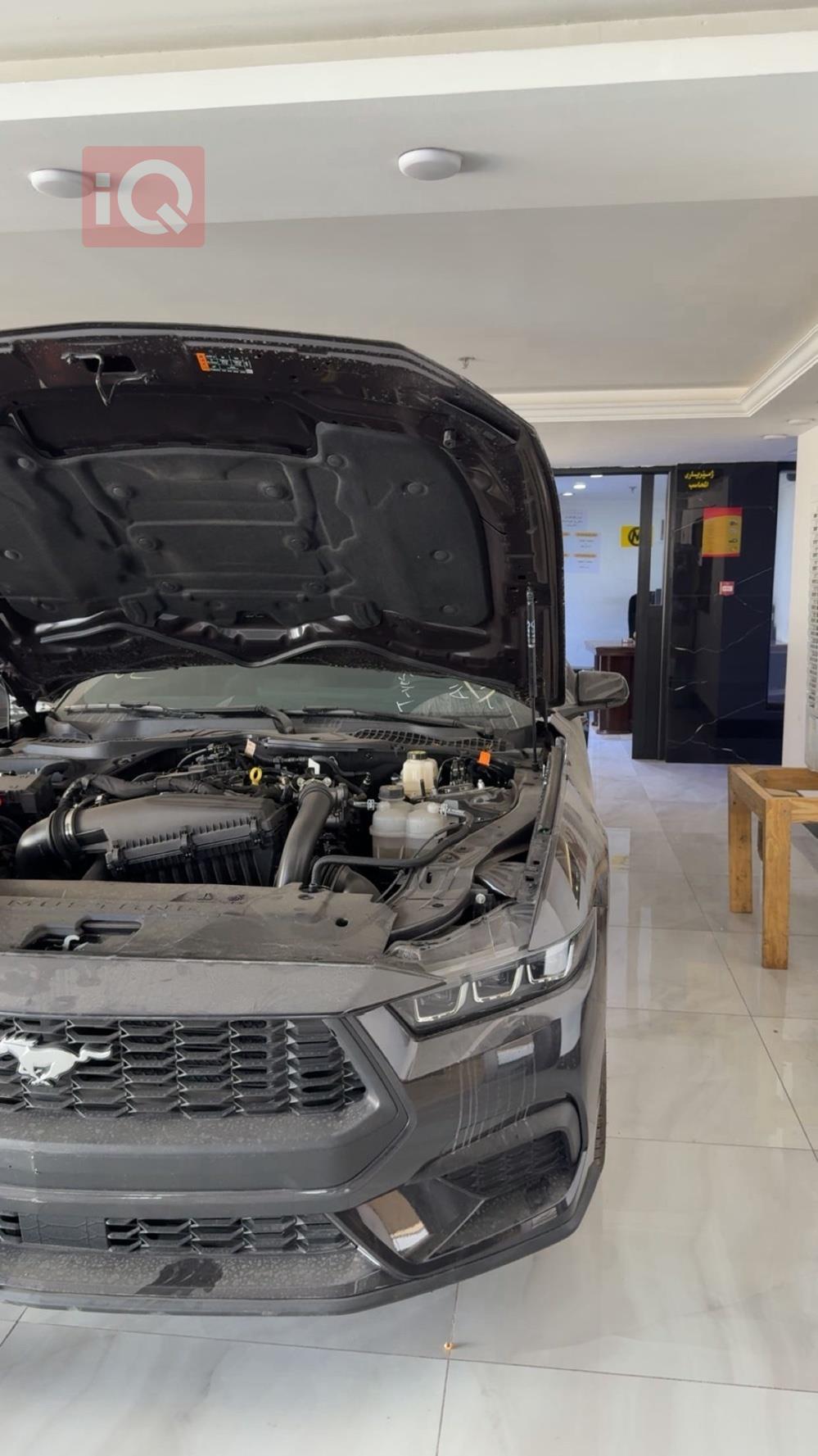 فورد موستانج